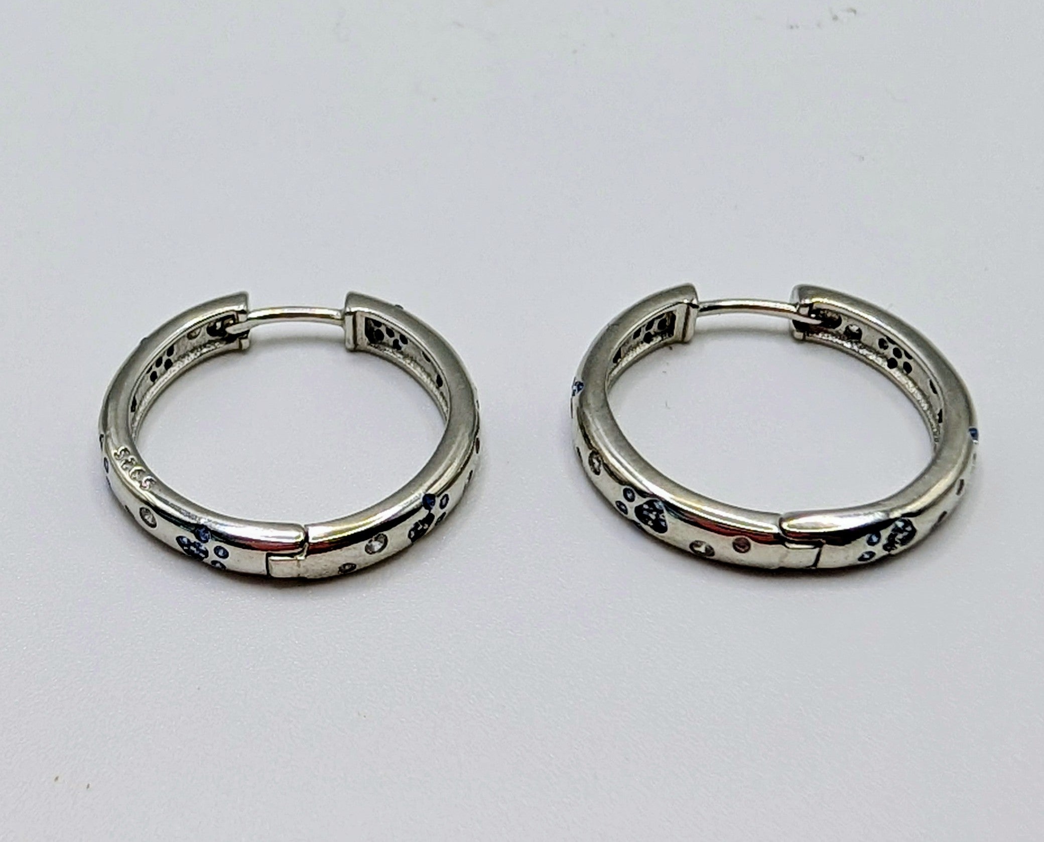 Blue Paw Print Sterling Silver Hoop Earrings