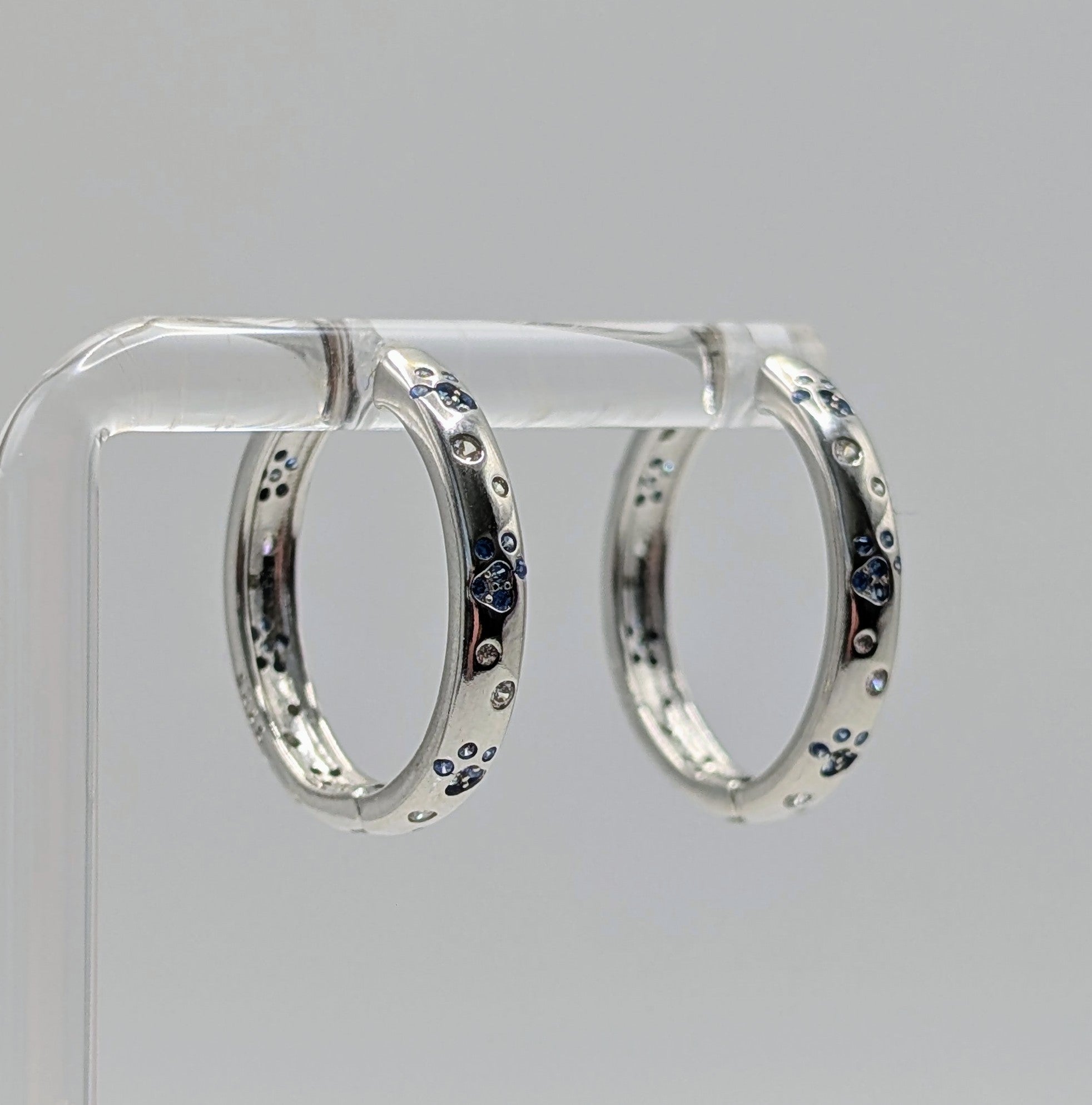 Blue Paw Print Sterling Silver Hoop Earrings